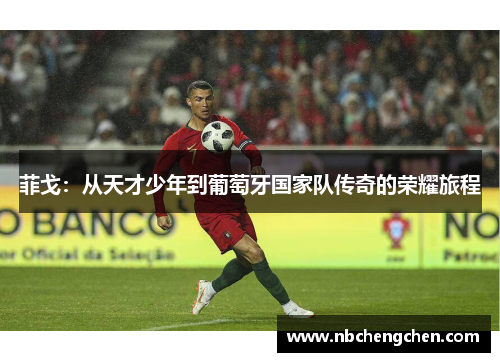 菲戈：从天才少年到葡萄牙国家队传奇的荣耀旅程