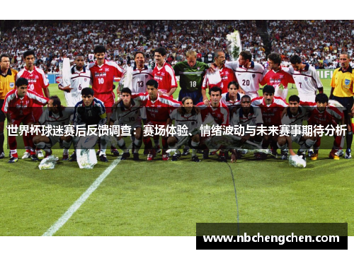 世界杯球迷赛后反馈调查：赛场体验、情绪波动与未来赛事期待分析