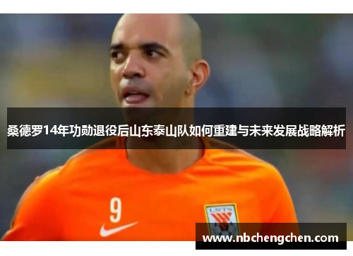 桑德罗14年功勋退役后山东泰山队如何重建与未来发展战略解析