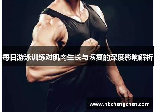 每日游泳训练对肌肉生长与恢复的深度影响解析
